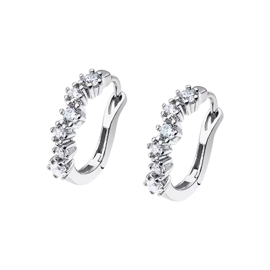 ORECCHINI CERCHIO SW INREGOLARI