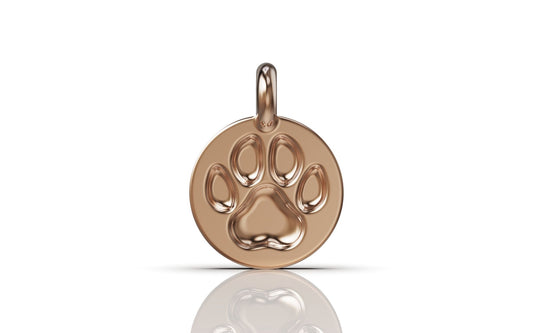 Charms   impronta  ÁILOVIU 925AG